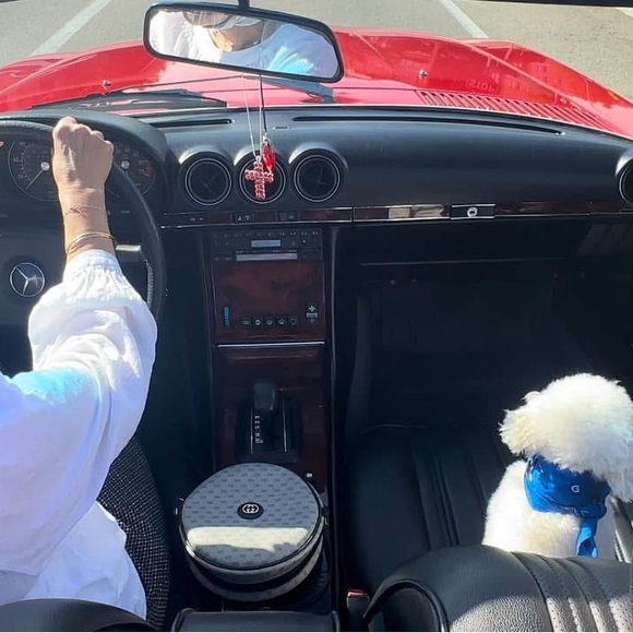 Poodle skirt outfit~great for your classic 50’s car~Women’s size S/M - Picture 3 of 3